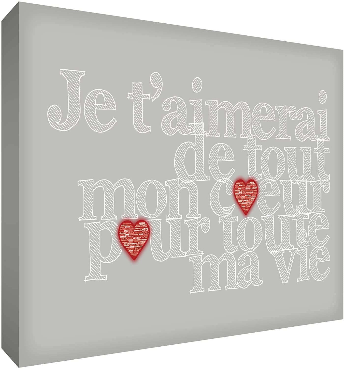 Feel Good Art Canvas Art with French Text - J'aimerai de tout mon coeur pour toute la vie Size Name: 60 x 91 cm Colour Name: Gray nursery art Earthlets