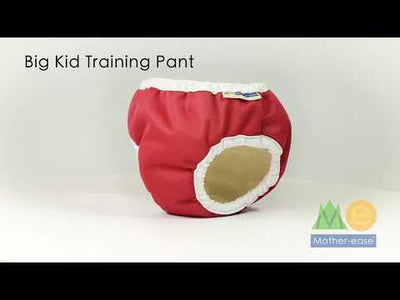 Mother-ease Big Kid Training Pants Colour: Bee Kind Size: S potty training reusable pants Earthlets